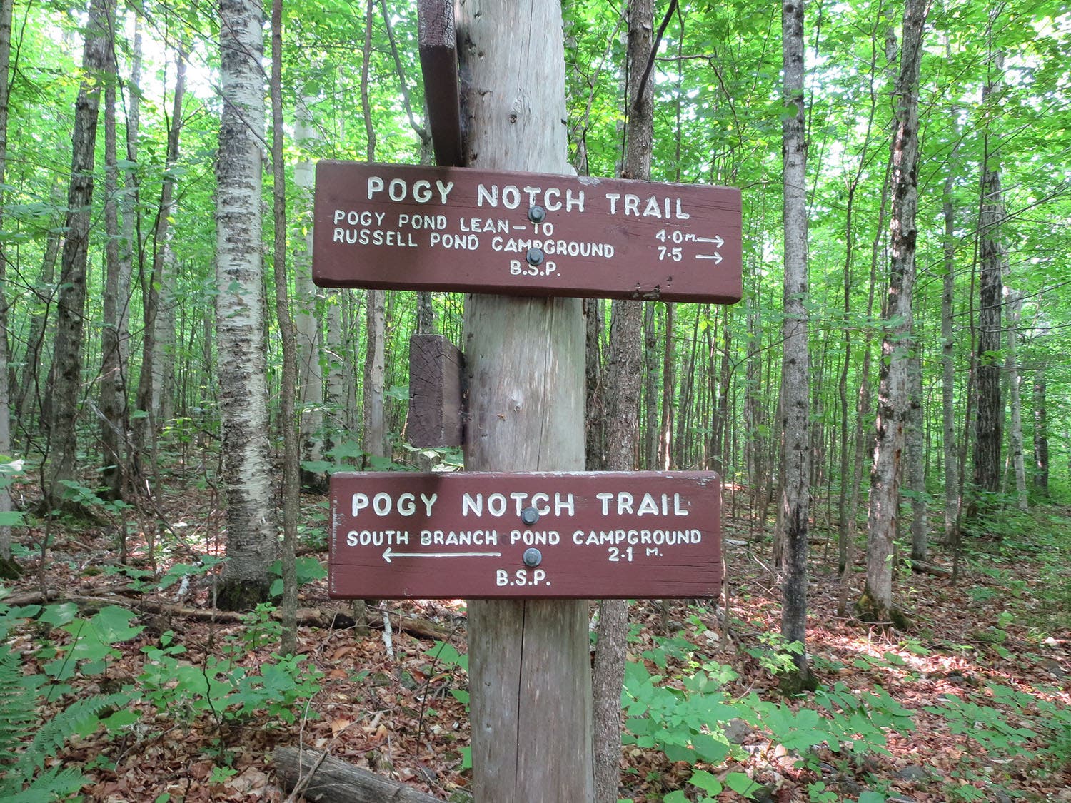 South Branch Mountain Loop [Photo by Matt Mills]