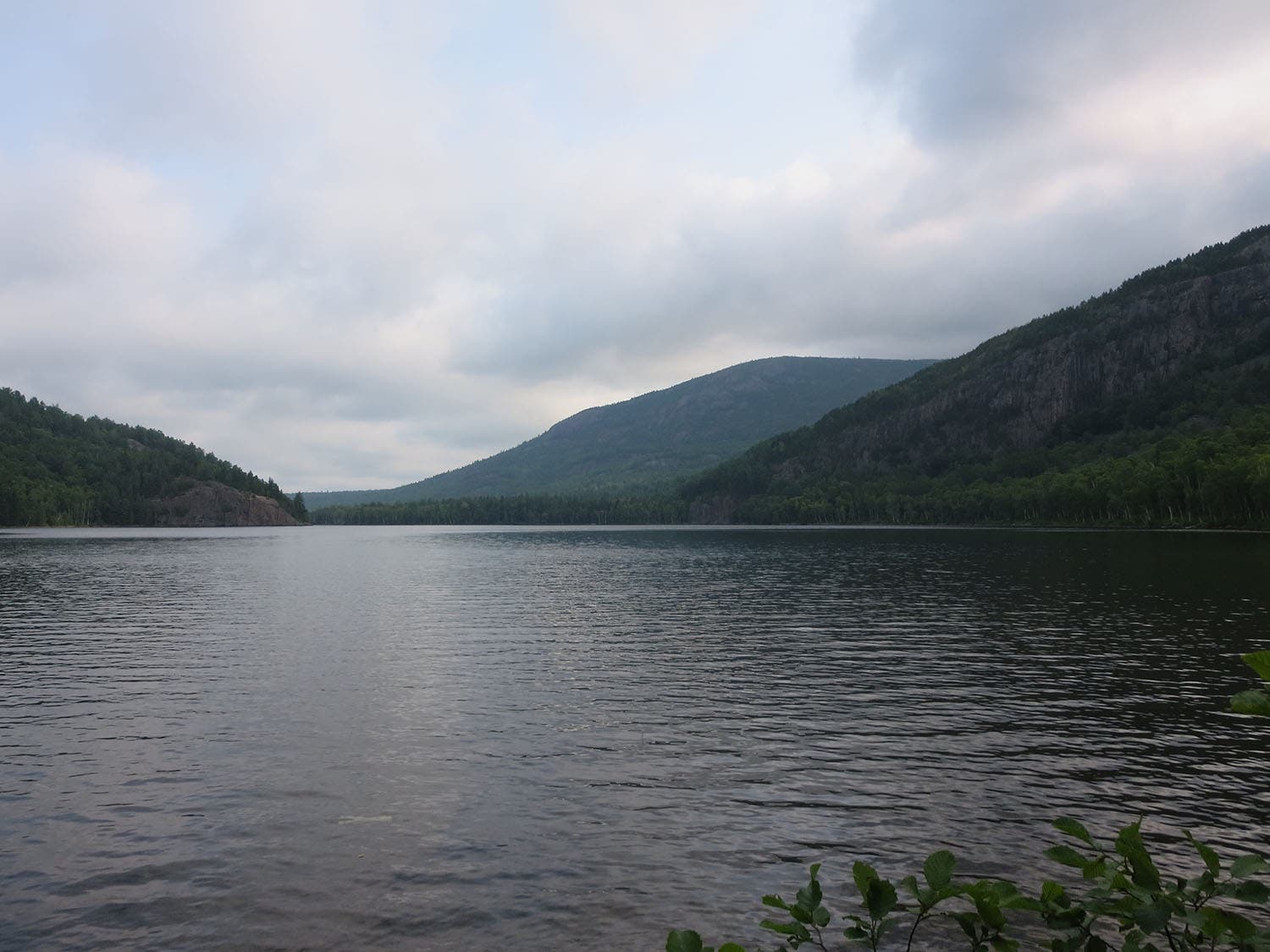 South Branch Mountain Loop [Photo by Matt Mills]