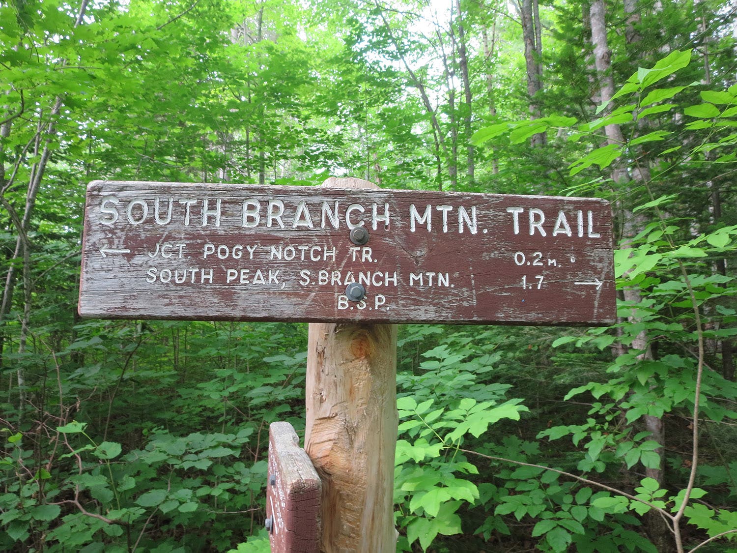 South Branch Mountain Loop [Photo by Matt Mills]