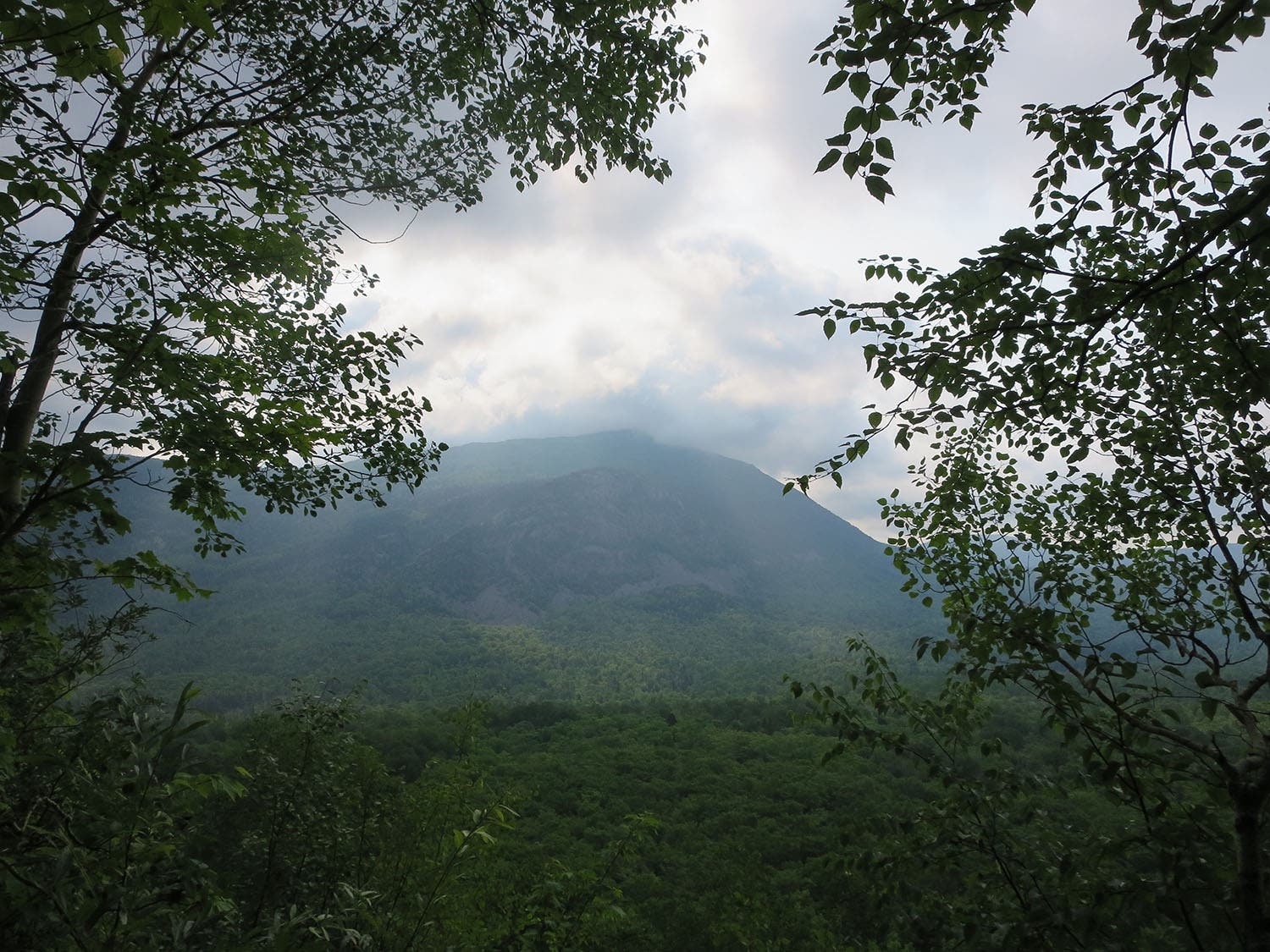 South Branch Mountain Loop [Photo by Matt Mills]