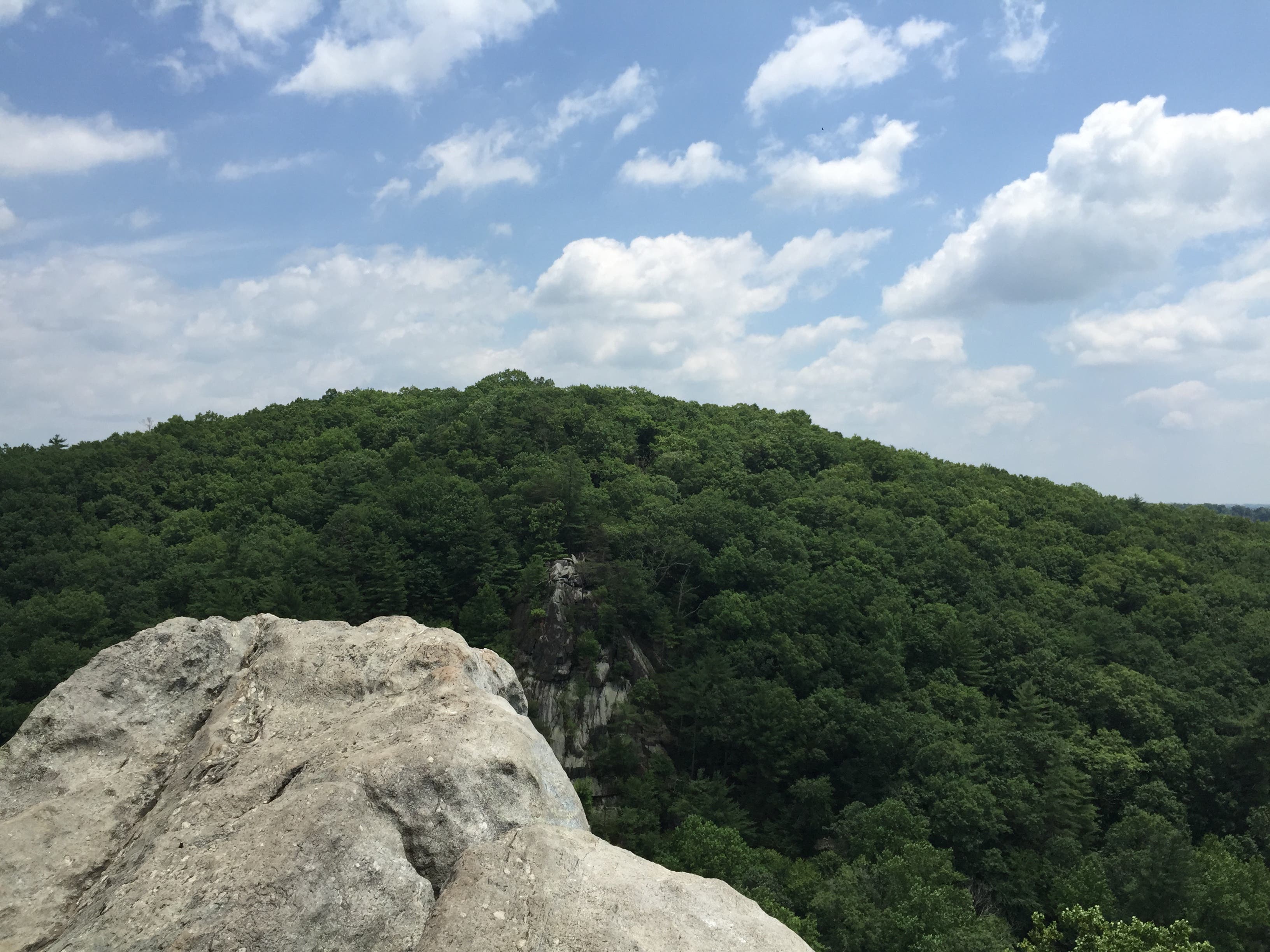 White Trail Loop, Rocks State Park (MD) [Photo by Matt Mills]