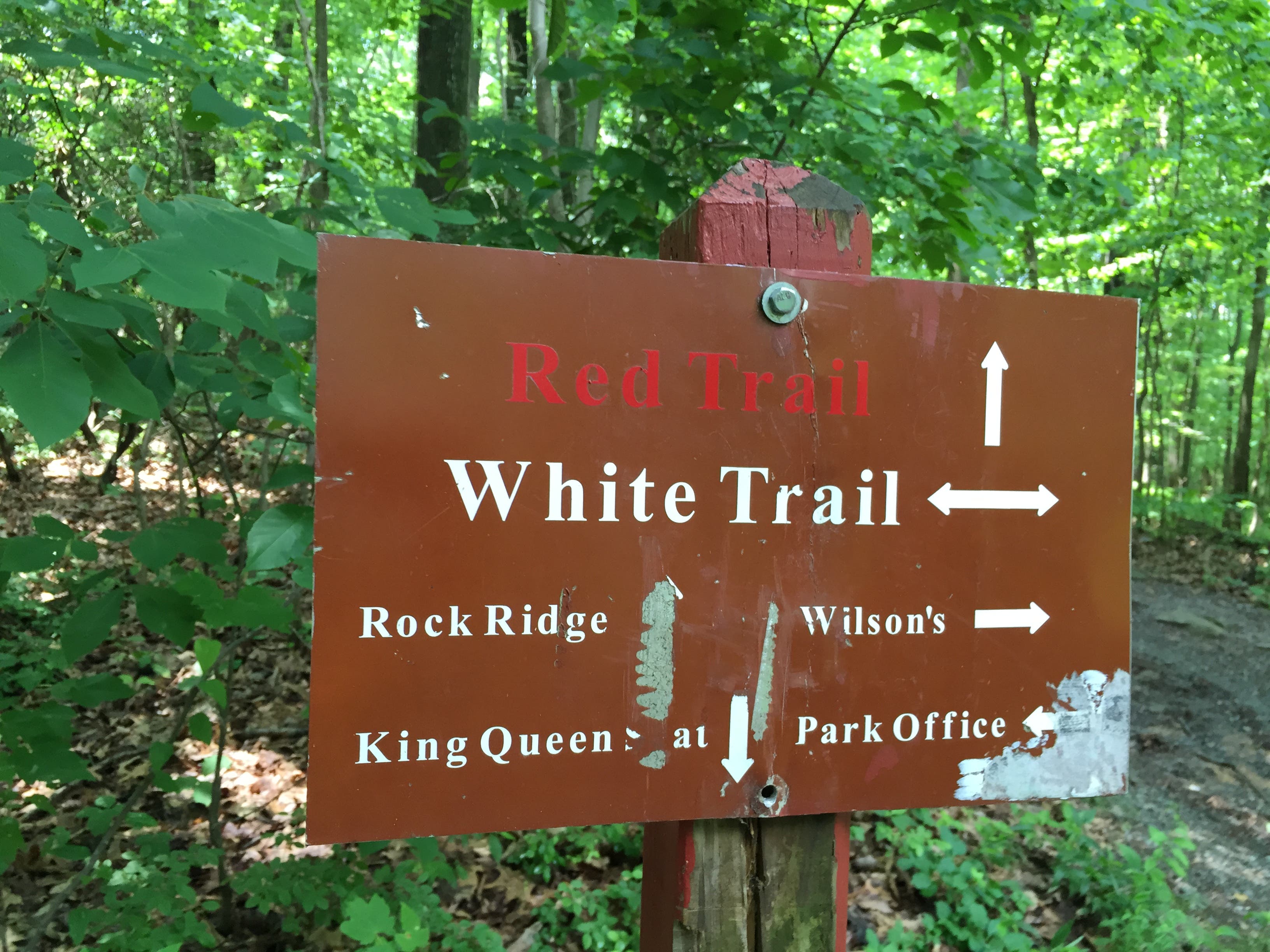 White Trail Loop, Rocks State Park (MD) [Photo by Matt Mills]