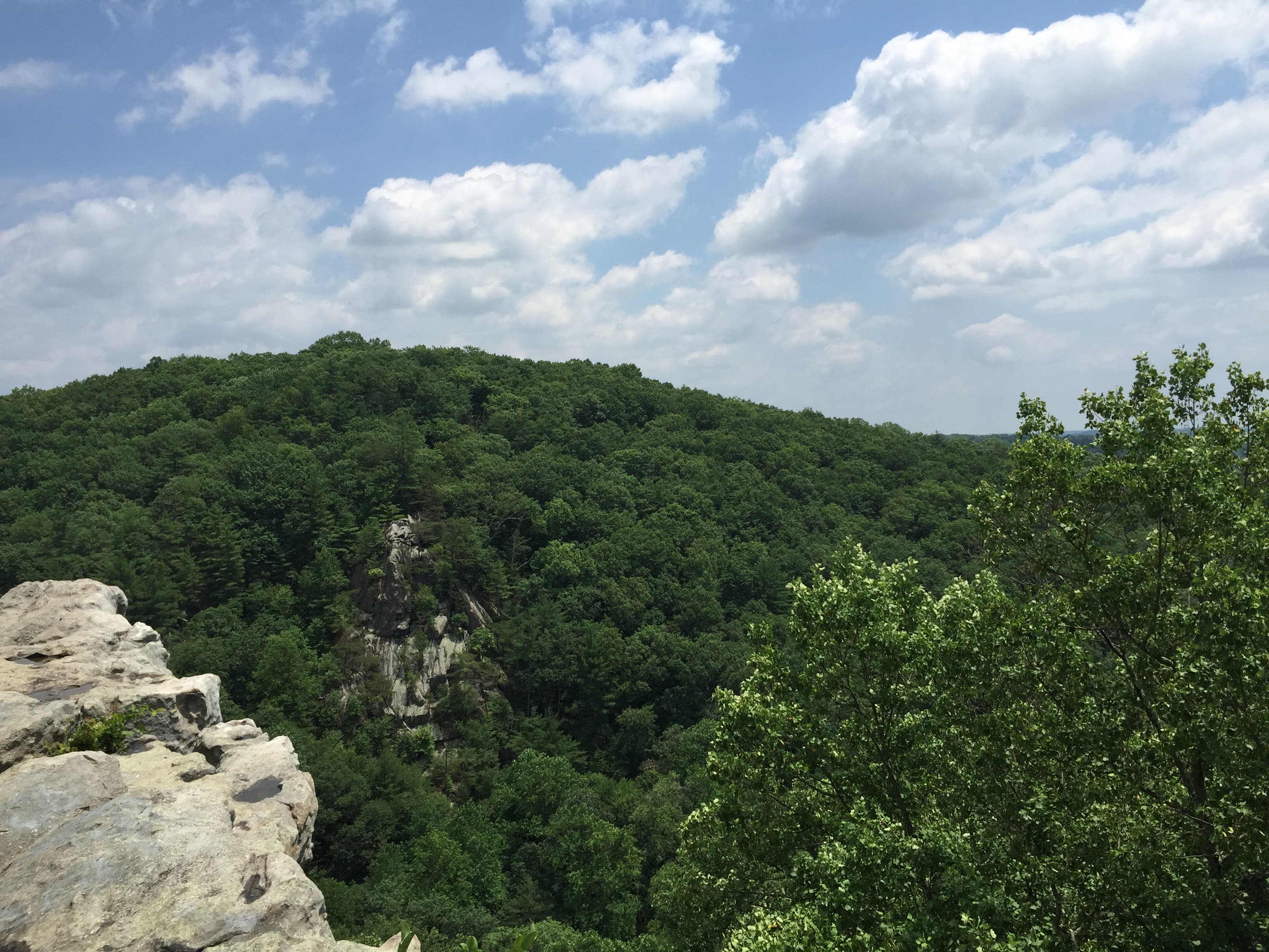 White Trail Loop, Rocks State Park (MD) [Photo by Matt Mills]