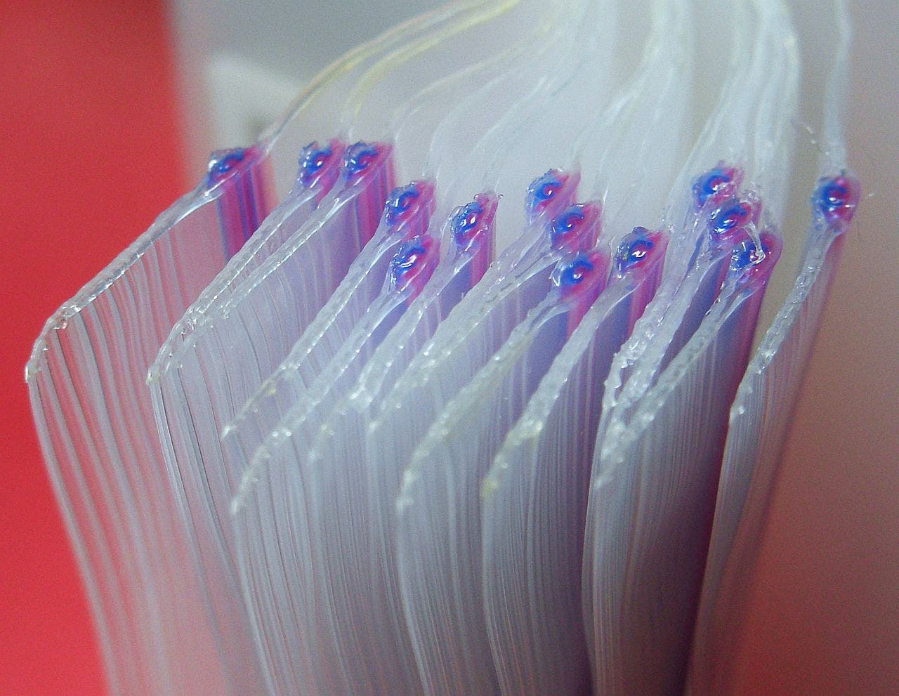 OLYMPUS DIGITAL CAMERA cheap gear alternatives thru-hikers love