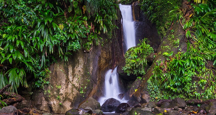 Dominica Wants to Attract Tourists With a Brand New Long Trail