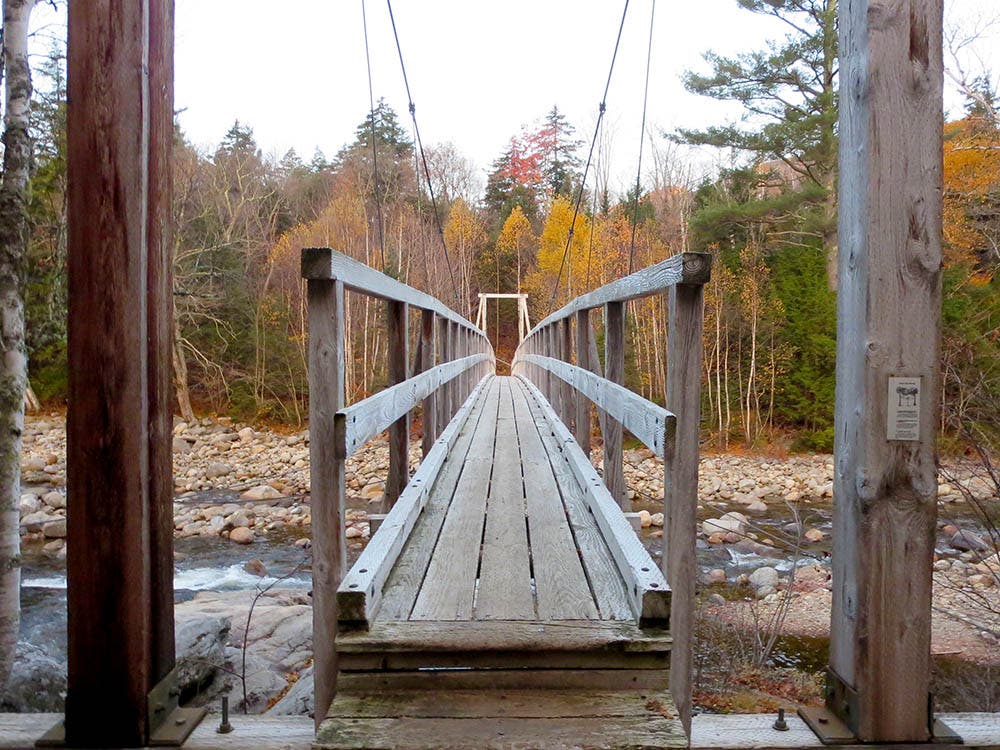 Great Gulf Trail, New Hampshire [Photo by Matt Mills]
