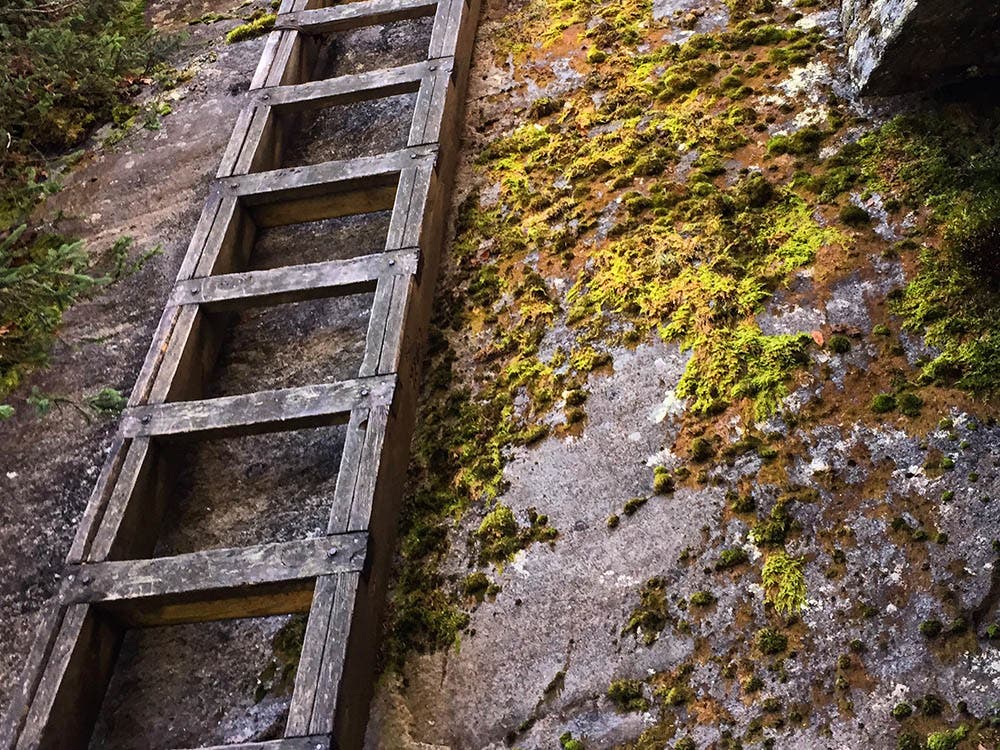 Six Husbands Trail, New Hampshire [Photo by Matt Mills]