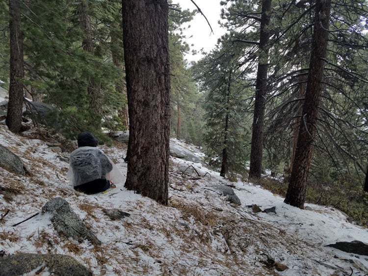 "hiker huddling in a forest"
