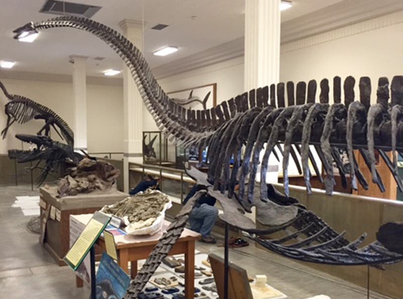 RapidCity_Lisa_Blogs_GeologyMuseum_dinosaur None