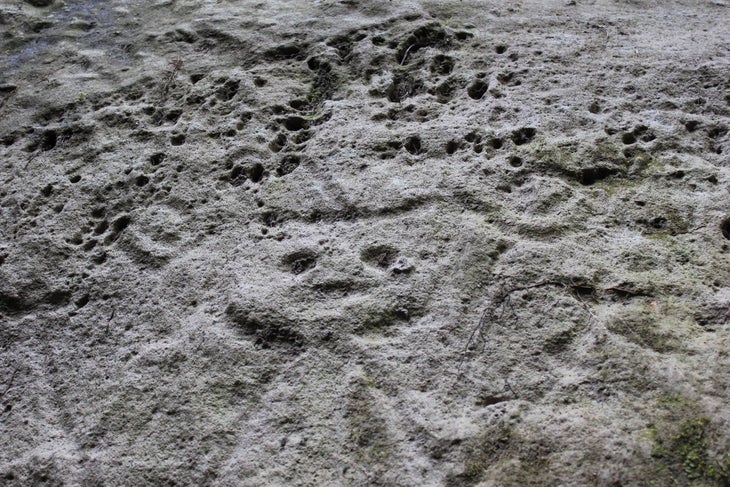 13441665_260001317699991_1819879461_o montserrat petroglyphs