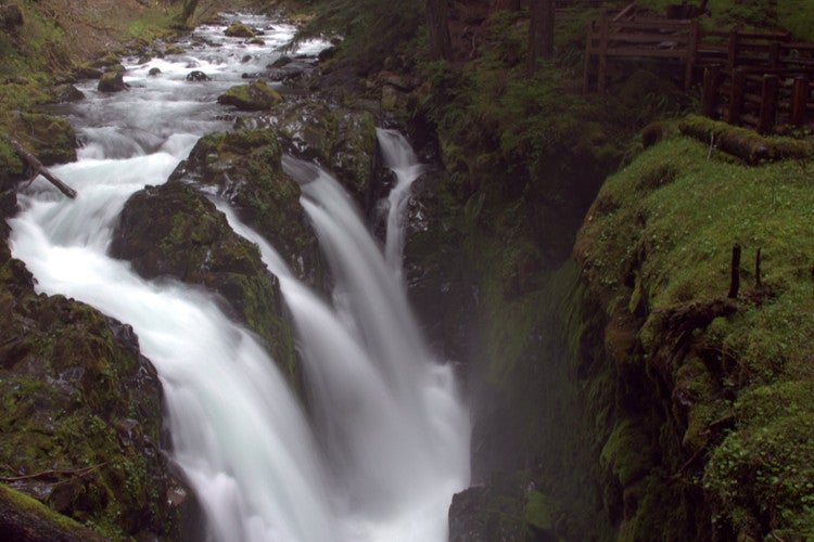 Waterfalls in olympic national park