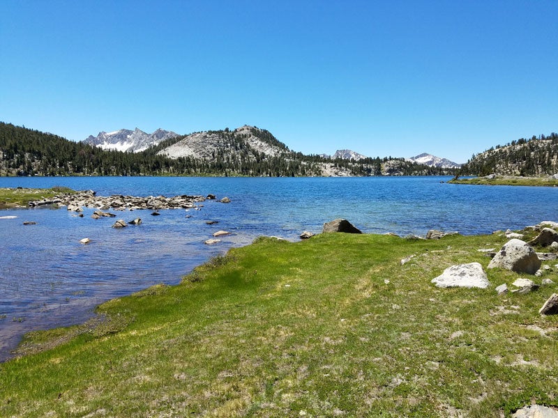 "Tuolumne Meadows"