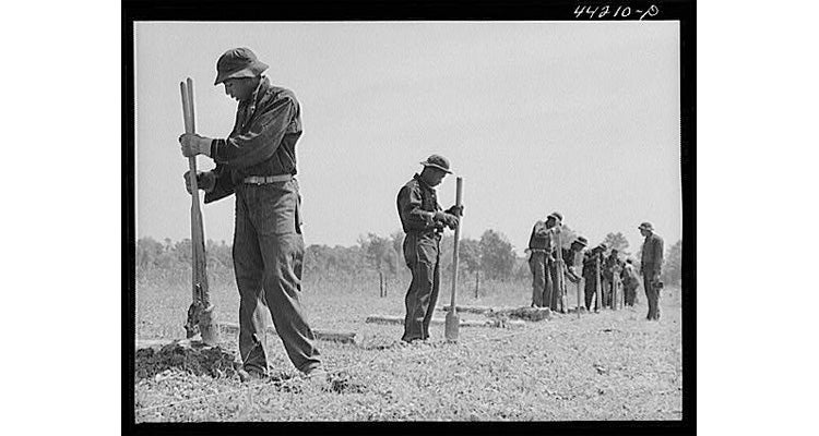 "civilian conservation corps"