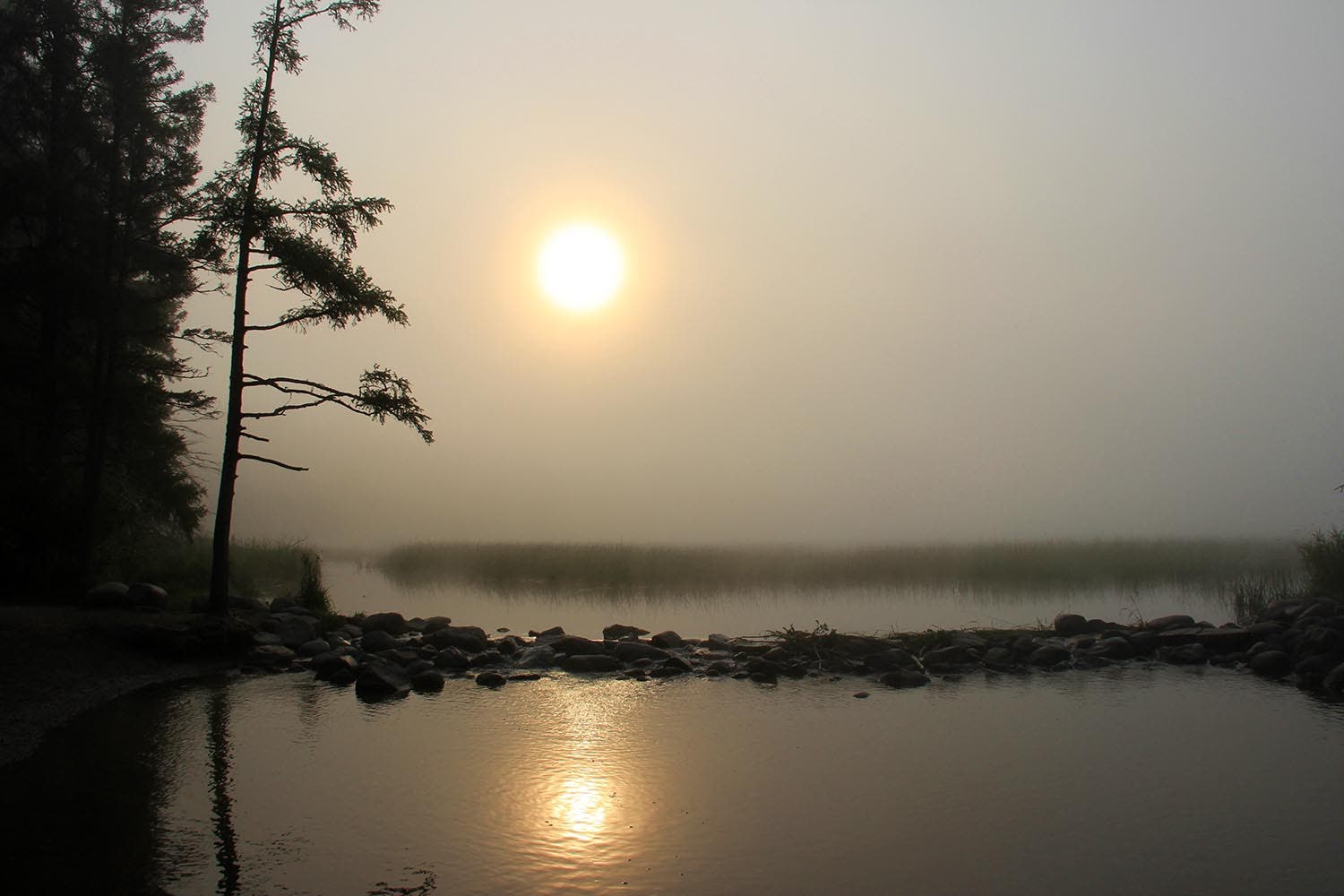 Camp50 Photo, Courtesy of Karen Thompson
