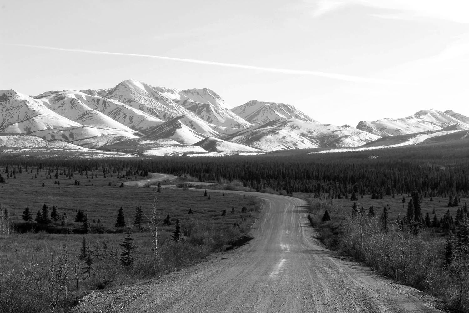 Camp50 Photo, Courtesy of Karen Thompson Camp50 Photo, Courtesy of Karen Thompson
