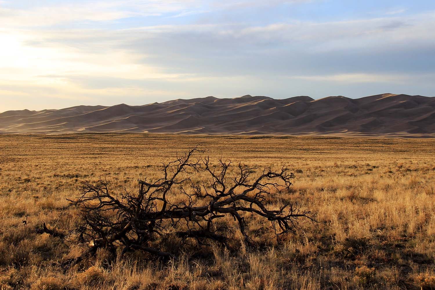 Camp50 Photo, Courtesy of Karen Thompson Camp50 Photo, Courtesy of Karen Thompson