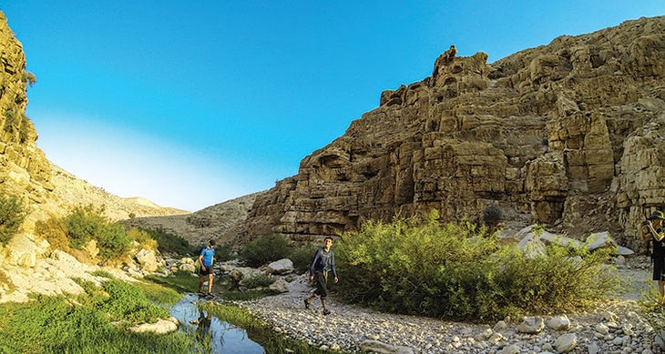 Stream in Wado Qelt west bank