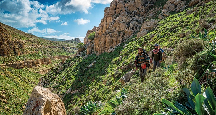 Wadi Auja west bank