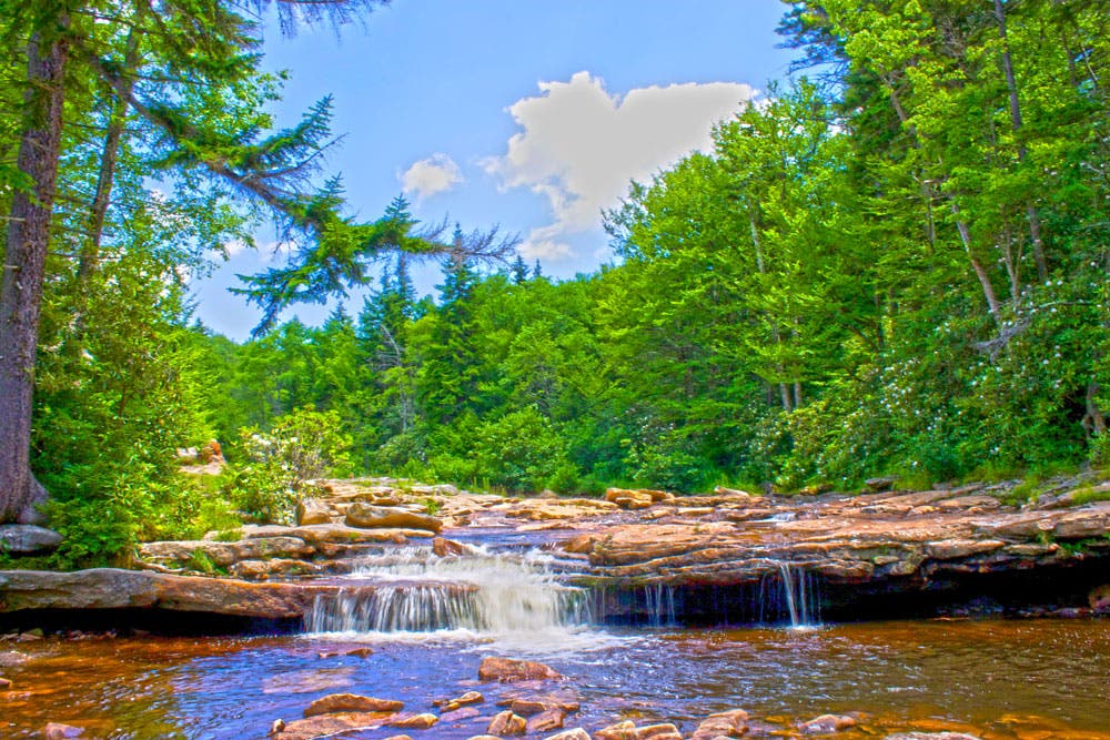 West-Virginia_Backpacking-Dolly-Sods_Morgan-Tilton_11 None