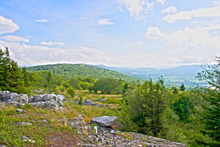 West-Virginia_Backpacking-Dolly-Sods_Morgan-Tilton_4 None