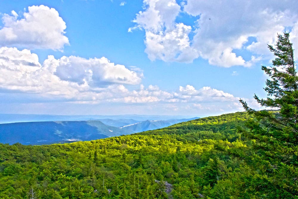 West-Virginia_Bear-Rocks-Preserve_Morgan-Tilton_1 None
