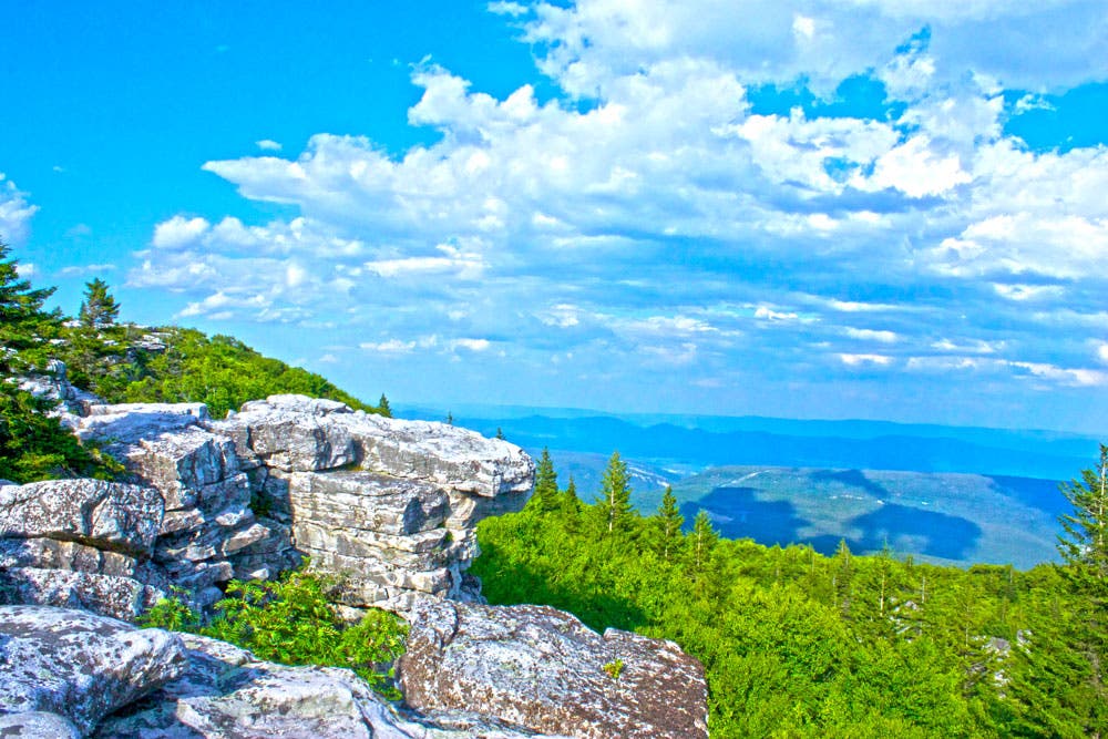 West-Virginia_Bear-Rocks-Preserve_Morgan-Tilton_3 None