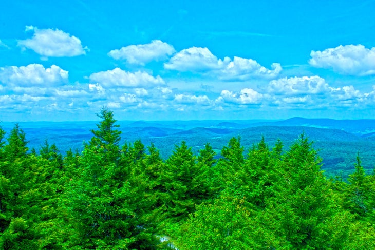 West-Virginia_Spruce-Knob_Morgan-Tilton_1 None