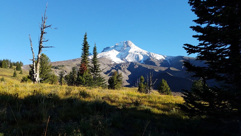 Finding Mount Hood on the Pacific Crest Trail