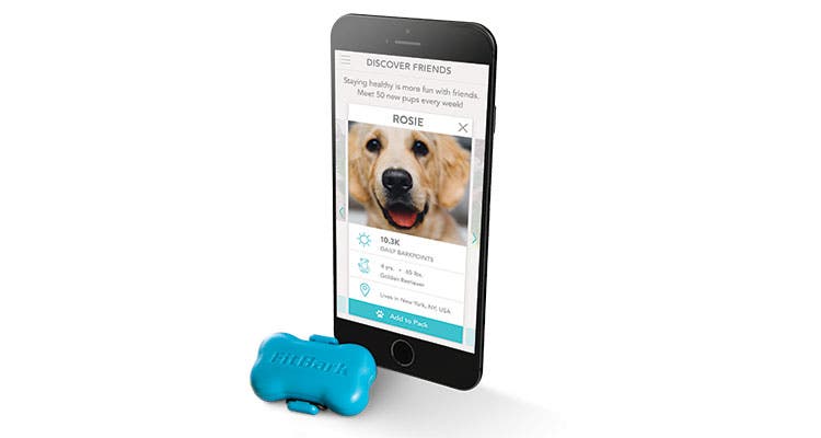 bp1016gear_fitbark_phone6 dog gear
