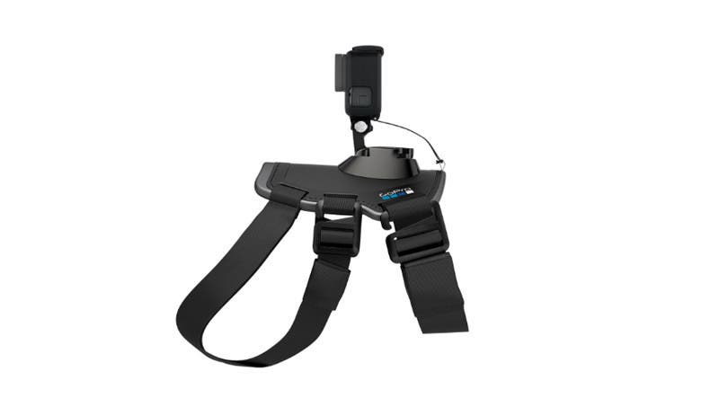 goproharness2 None