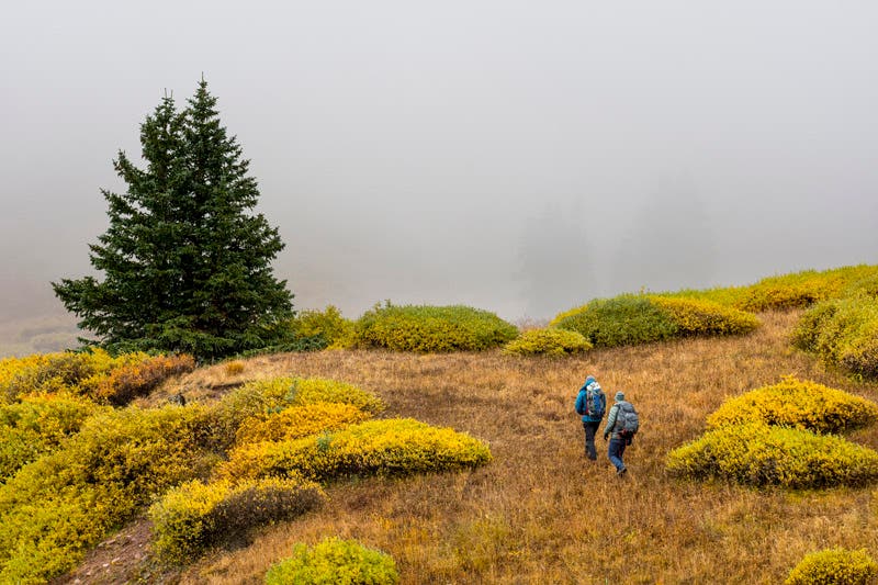 Even the bushes were golden in the third week of September.