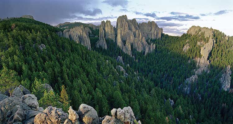 See the Cathedral Spires from the .8-mile trail of the same name in Custer State Park. Photo by Marc Muench/Tandemstock.com