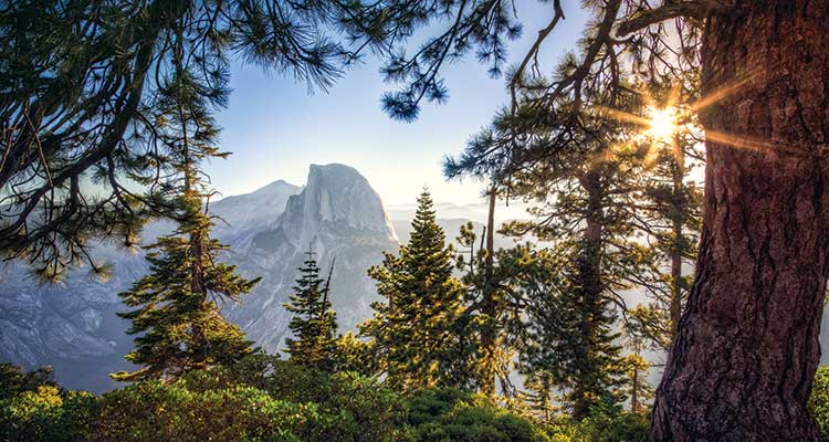Nab this view of Half Dome from the short Glacier Point Trail. Photo by Stephen Moehle