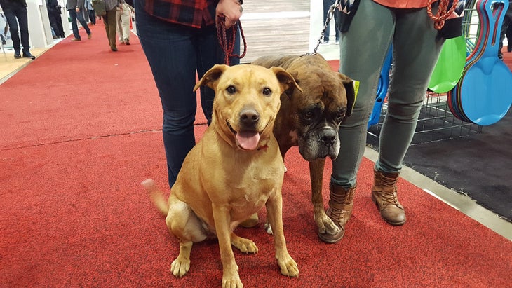 Dogs of Outdoor Retailer: Bogs None