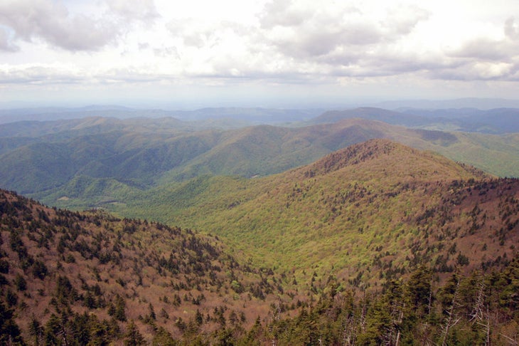 roan-mountain roan mountain