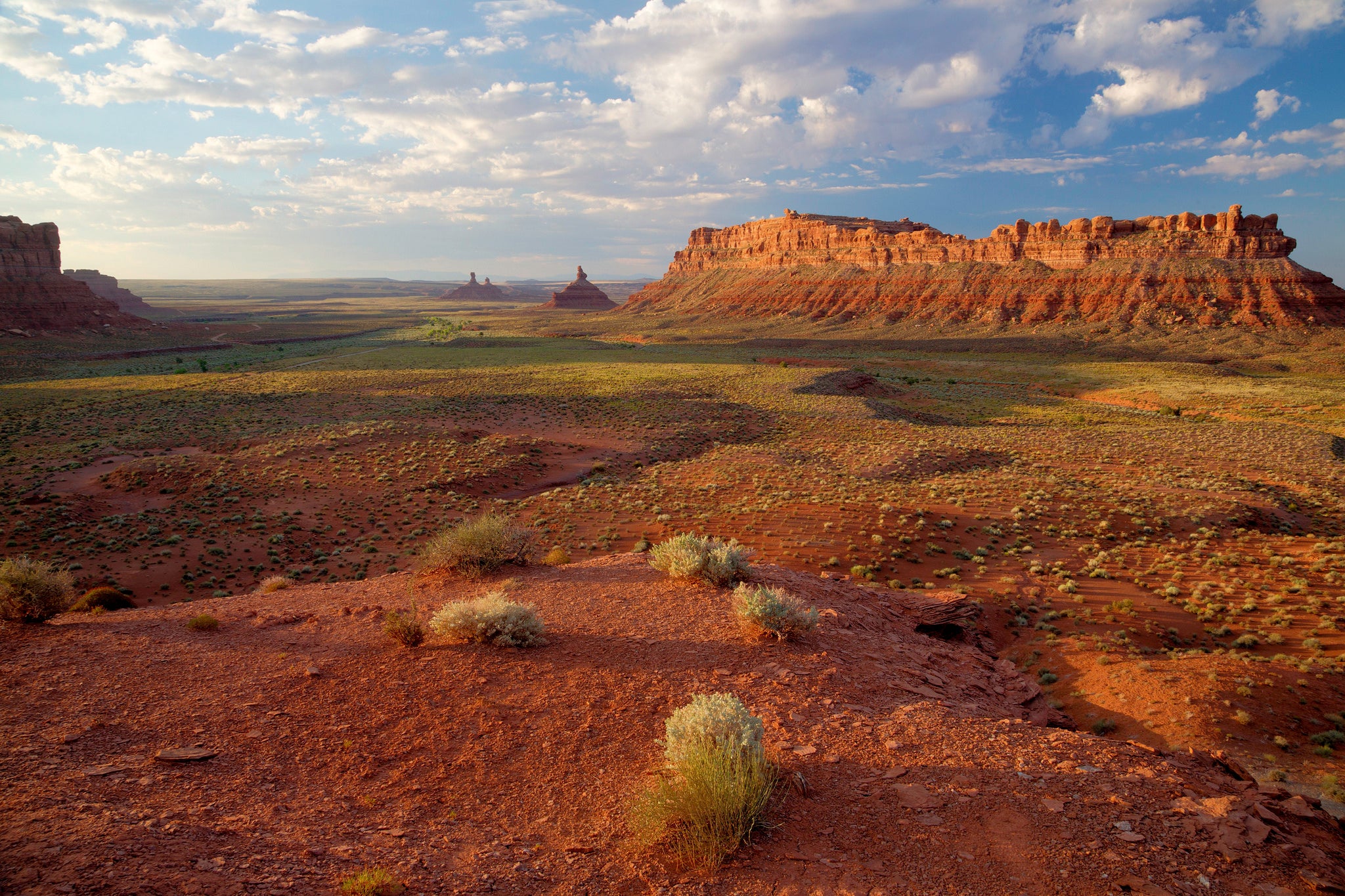 "bears ears national monument"