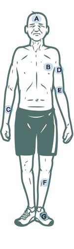 Image placeholder title None