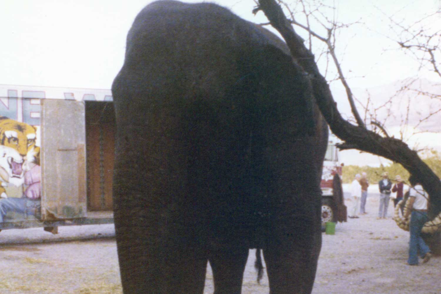 10 star wars death valley