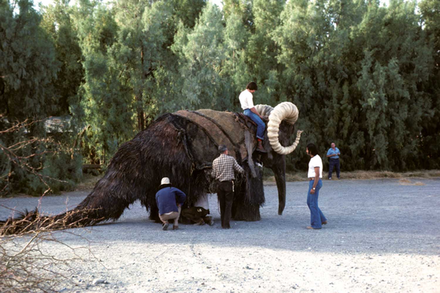 15 star wars death valley