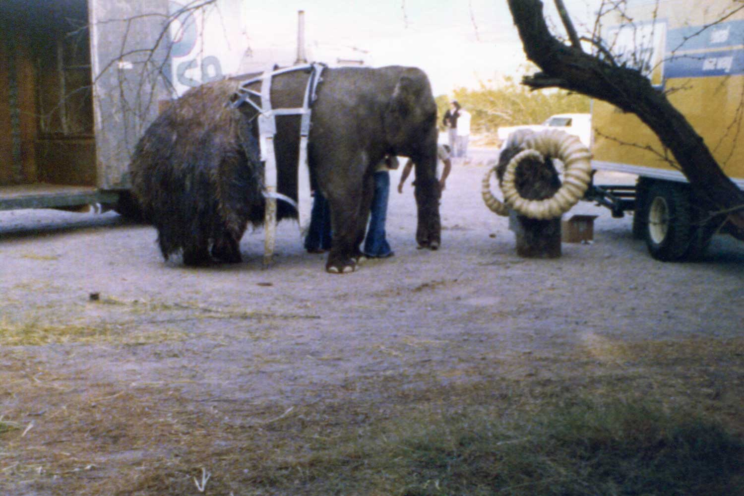 9 star wars death valley