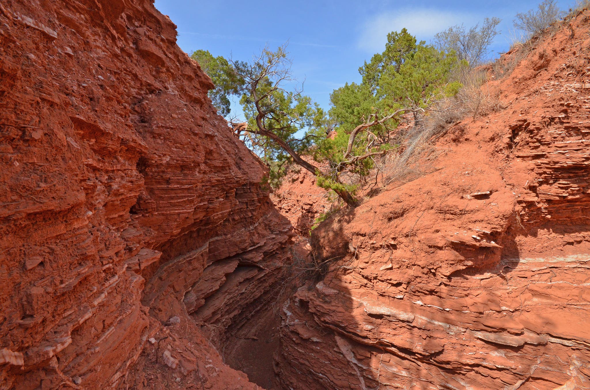 caprock canyon