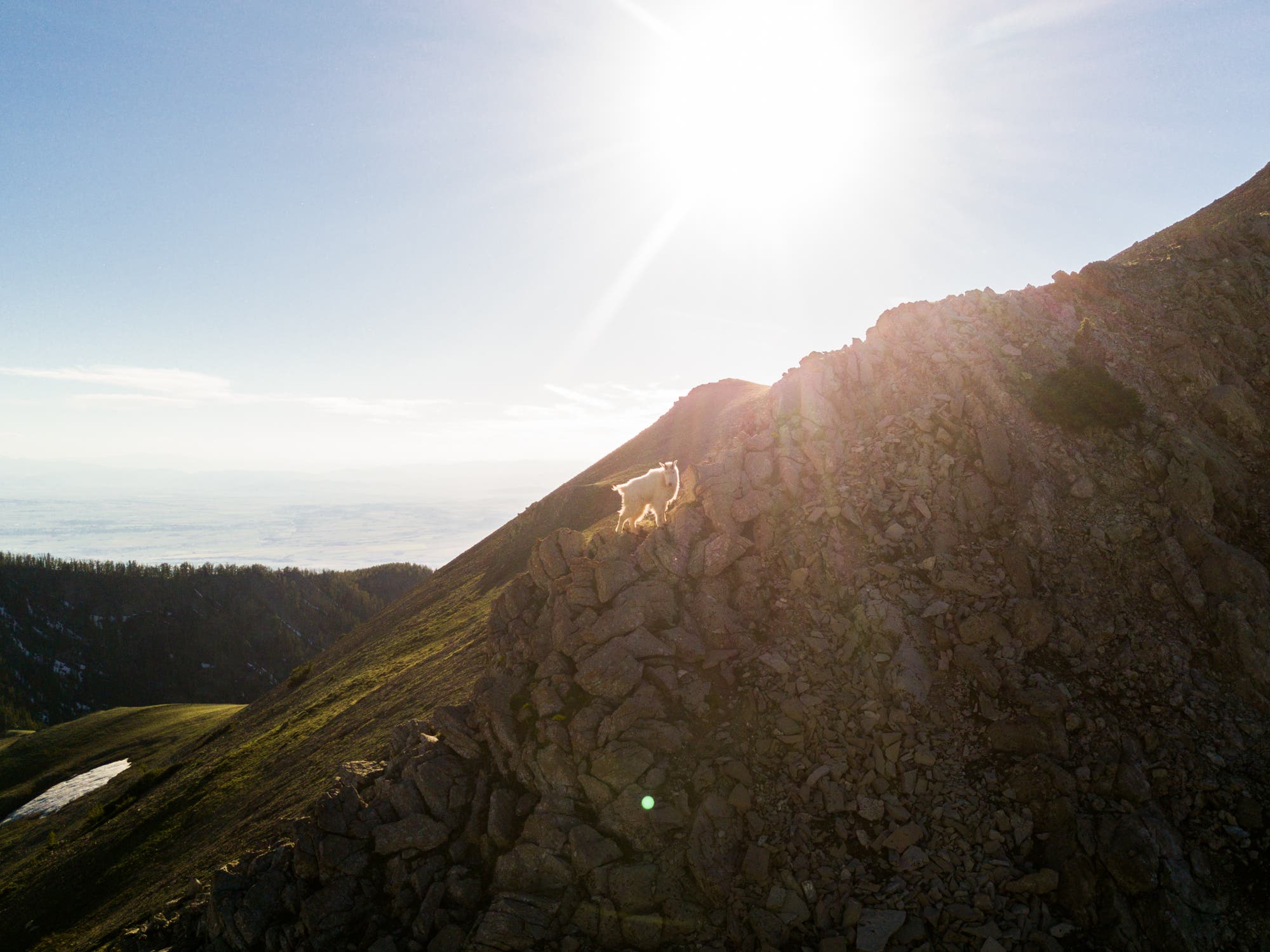 100 days week 2: Leading the way up, this guy made the hike look like a breeze.