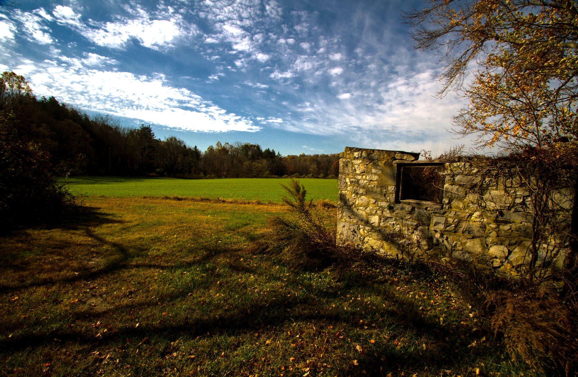 kittatinny valley kitatinny