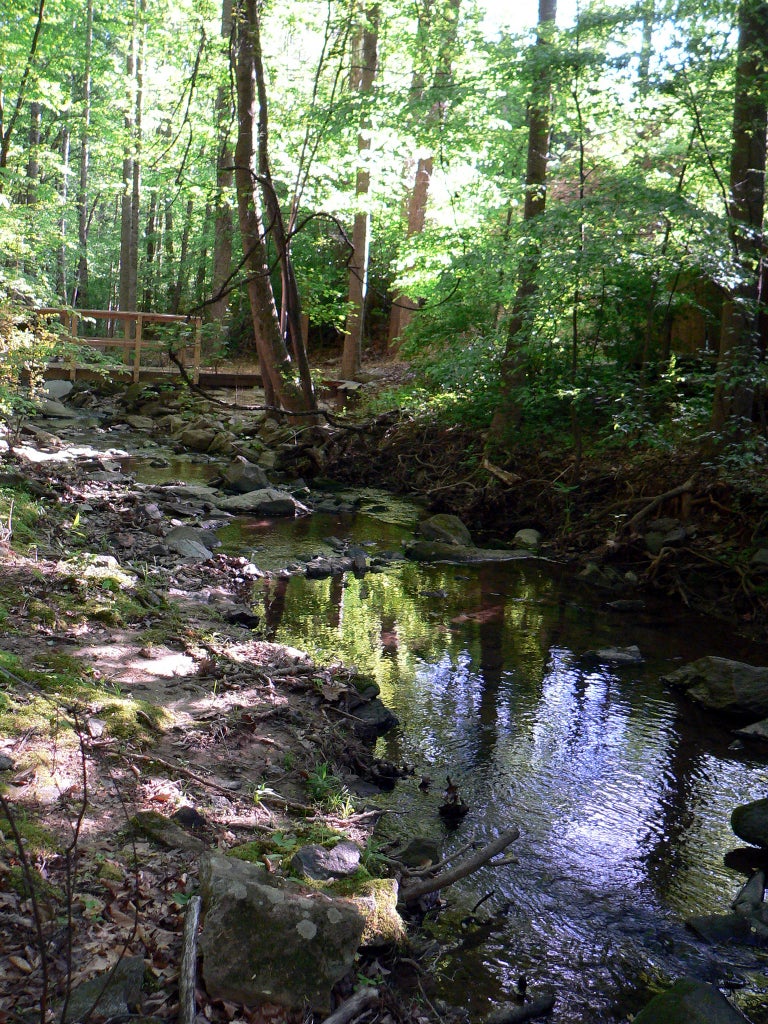 New Hiking Club in Sandy Springs, Georgia