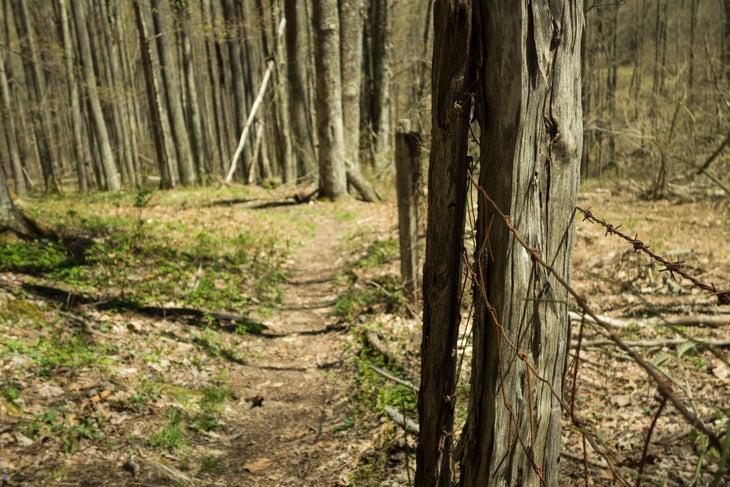 WestVirginia_Tourism_Ryan P. Wichelns_2017_04_30 West Virginia Backpacking_20170426_001 None