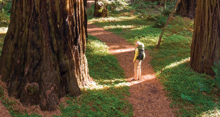 BP0817FEAT_EXTREMES_SequoiaKennanHarvey Wildest hikes Prairie Creek Redwoods State Park, CA