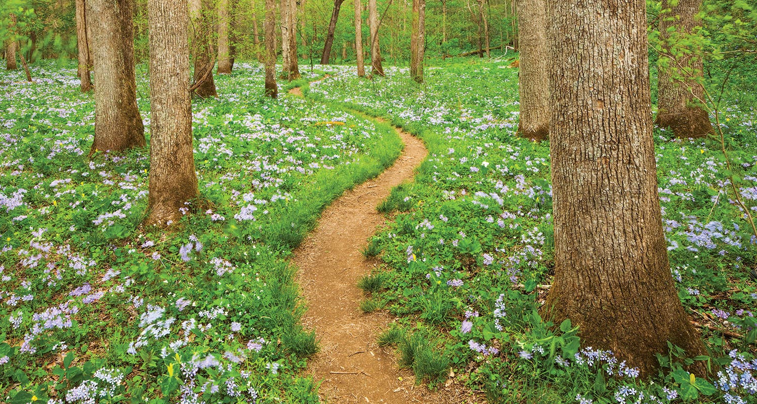 Wildest hikes Great Smoky Mountains National Park, TN/NC