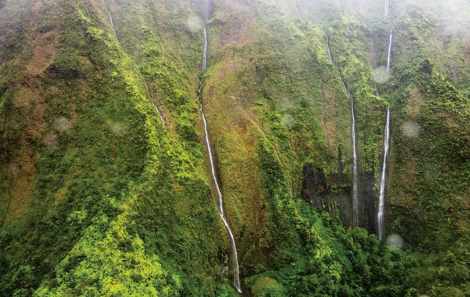 BP0817FEAT_EXTREMES_WaialealeTomDempsey_gn Wildest hikes Mt. Waialeale, Kauai, HI