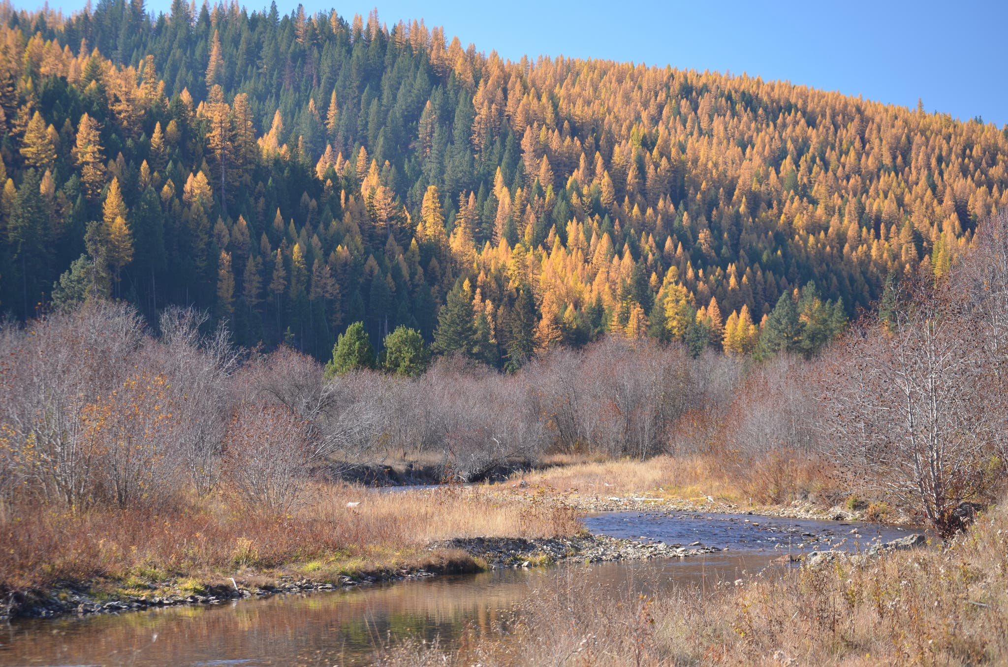 lolo trail lolo trail