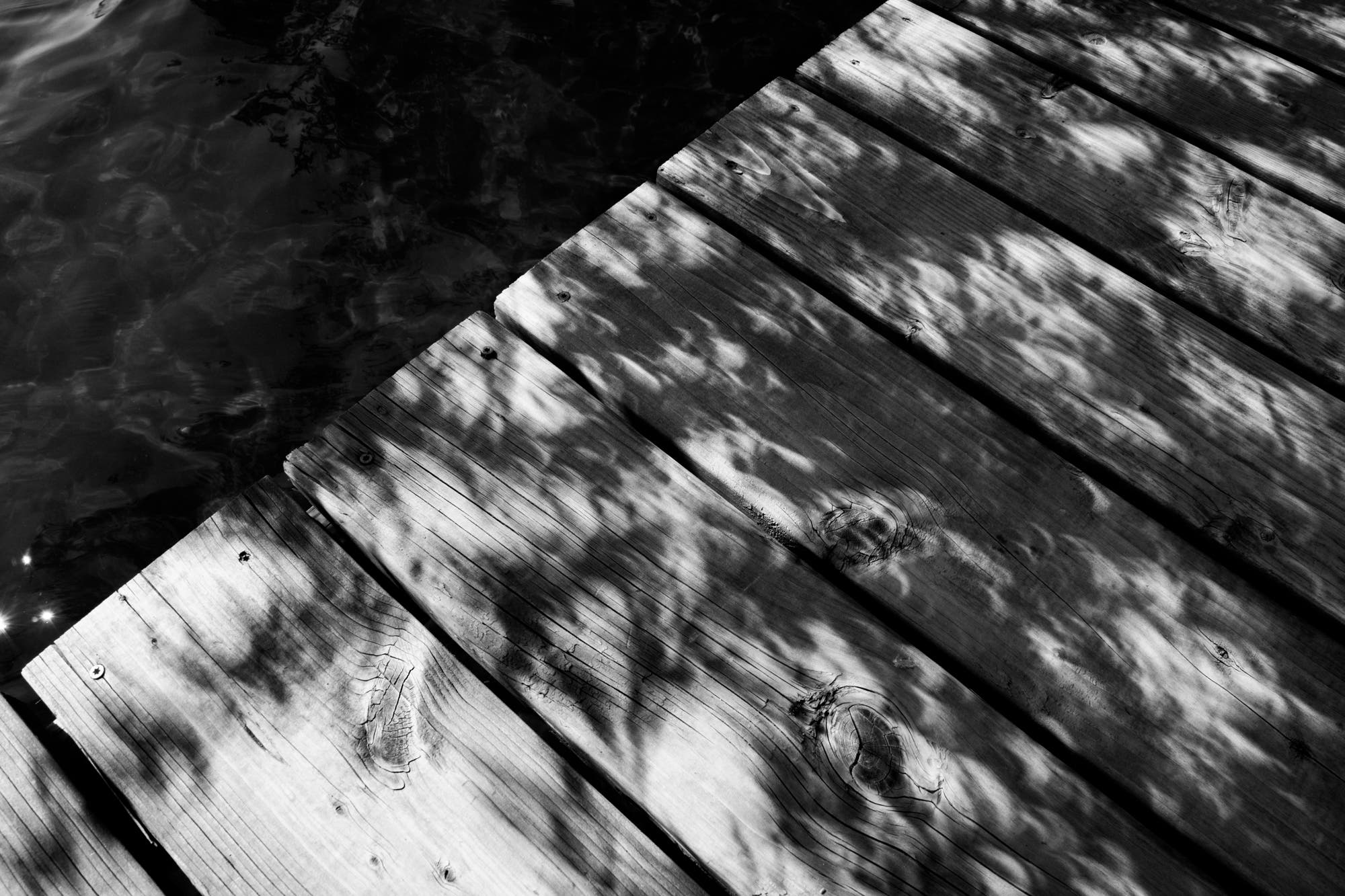 100DyasOutdoors_Aidan_Week11_DSC1791 None